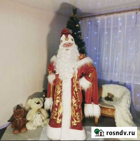 Дед Мороз Воронеж - изображение 1