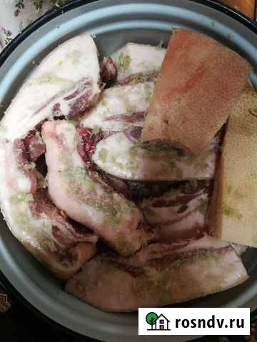 Сало Шуя - изображение 1