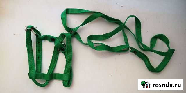 Поводок для кошек Ульяновск - изображение 1