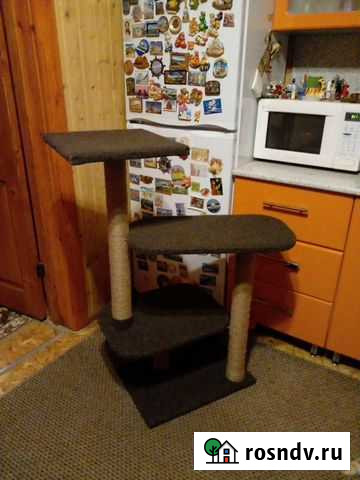 Когтеточка Яхрома - изображение 1