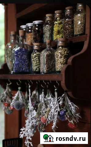 Лекарственные травы, корни, сборы Симоненко - изображение 1