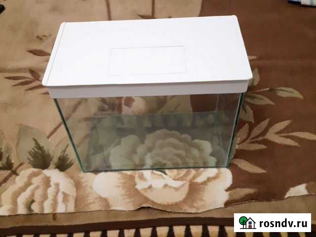 Аквариум Оренбург - изображение 1