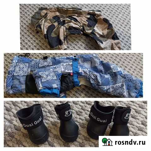 Комбинезон зима, дождевик, сапоги для мелких собак Видное - изображение 1