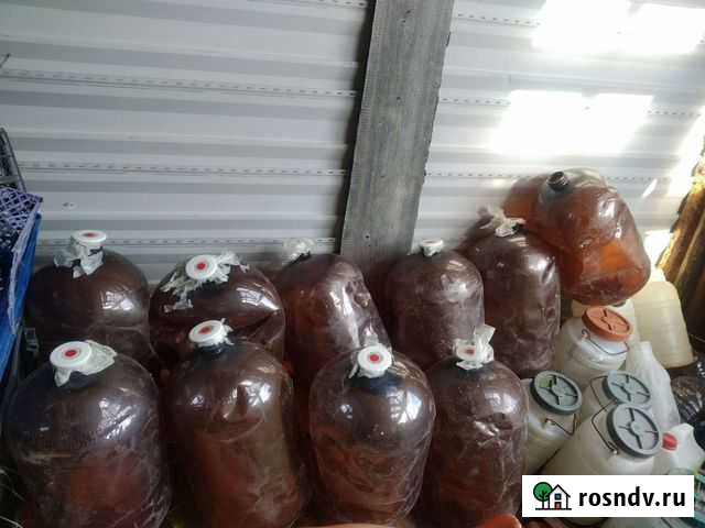 Бутылки Нягань - изображение 1