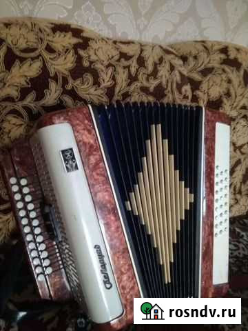 Баян Барнаул - изображение 1