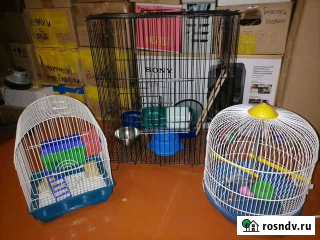 Клетка для шиншилл, для птиц, домик для грызунов Алексин - изображение 1