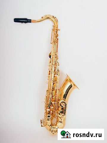 Саксофон тенор Bb Conductor FLT-ST Иркутск - изображение 1
