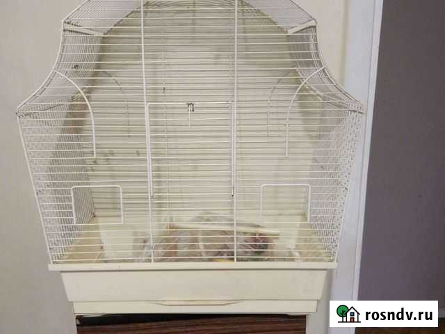 Клетка для птиц Королев - изображение 1