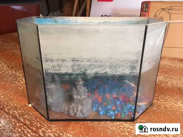 Аквариум Алексеевская - изображение 1