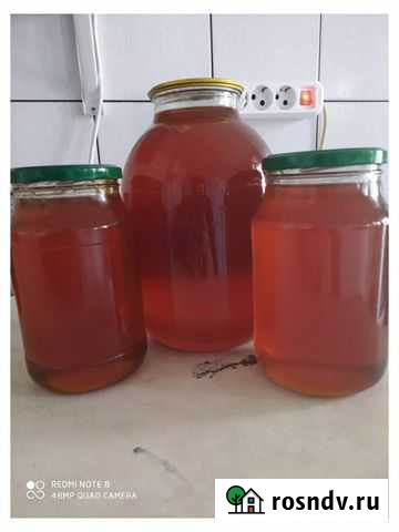 Мёд. Разнотравье Славянск-на-Кубани - изображение 1