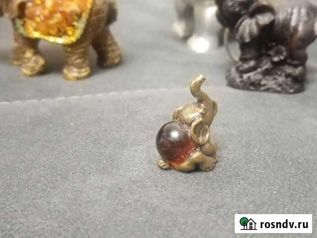 Слоны мира Череповец - изображение 1