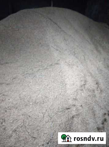 Ячмень Лихой - изображение 1