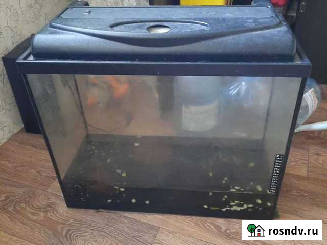 Аквариум Сыктывкар - изображение 1