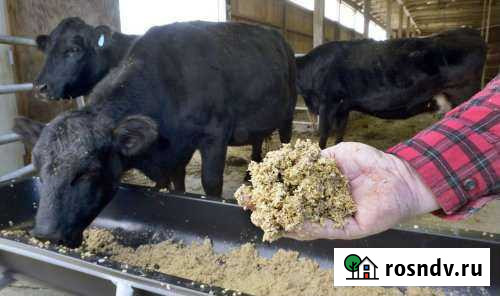 Пивная дробина Шадринск - изображение 1