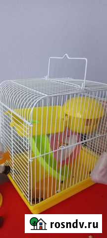 Хомяк с клеткой Курган - изображение 1