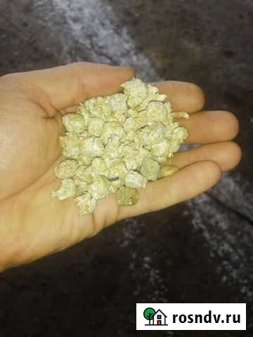 Гранулы ячменные Далматово - изображение 1