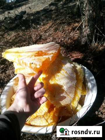 Мед колодный Тольятти - изображение 1