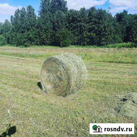 Сено Анжеро-Судженск