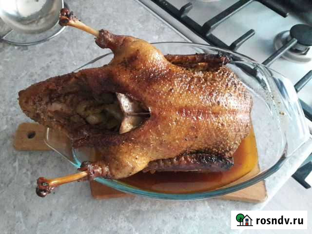 Мясо индоутки Железногорск - изображение 1