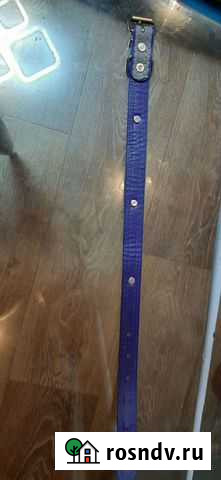 Ошейник для собак Раменское - изображение 1