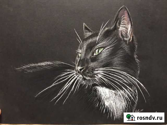 Портрет животного по фото Москва - изображение 1