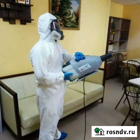 Дезинфекция тараканов Балаково - изображение 1