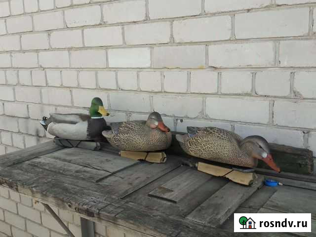 Чучела кряквы GHG Московский - изображение 1