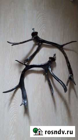 Рога оленя Улан-Удэ - изображение 1