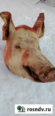Свиная голова Марьяновка - изображение 1