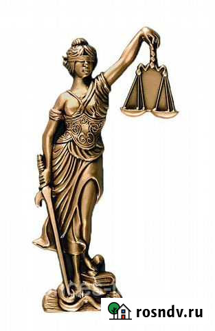 Юрист по семейным делам разводам, алиментам Хабаровск - изображение 1