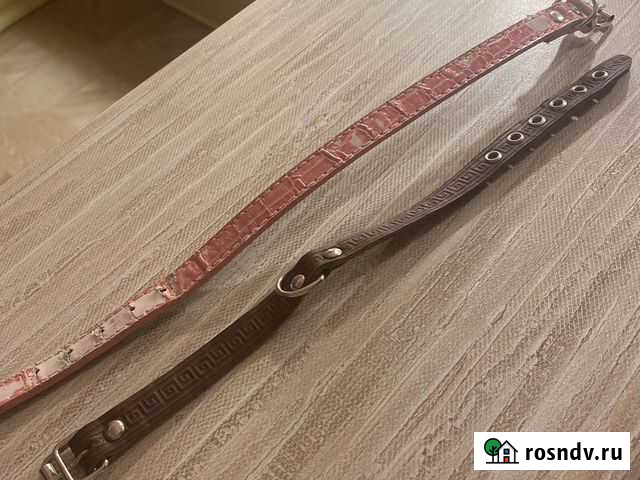 Ошейник для собак Магнитогорск - изображение 1