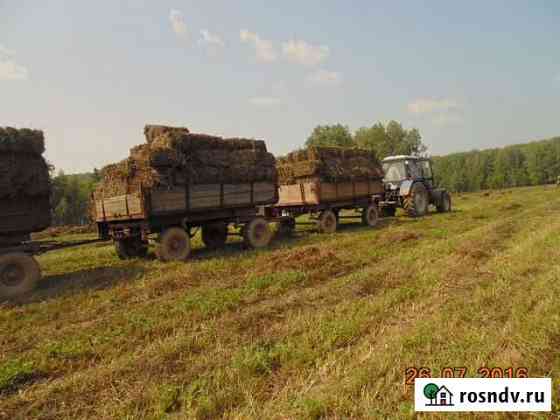 Продам сено в рулонах Дубна