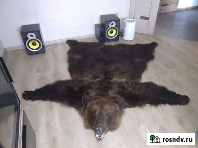 Имитация,шкура медведя оригинал ьная Йошкар-Ола - изображение 1