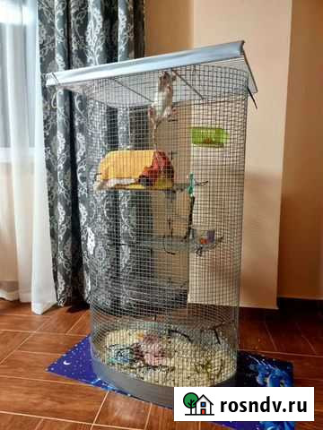 Клетка для животных Анапа - изображение 1