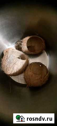 Кокос и растения в аквариум Люберцы - изображение 1