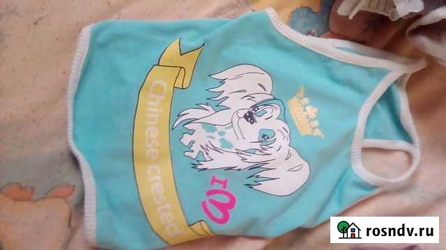 Одежда для маленьких собак Соликамск - изображение 1