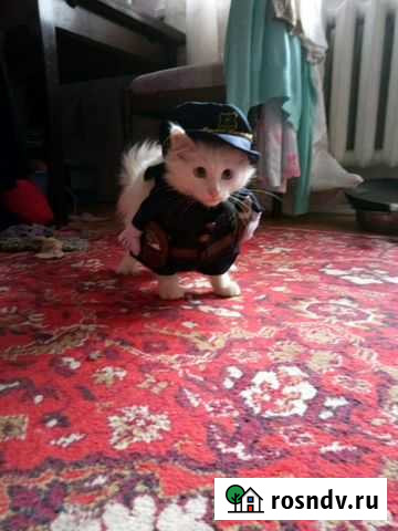 Костюм Воткинск - изображение 1