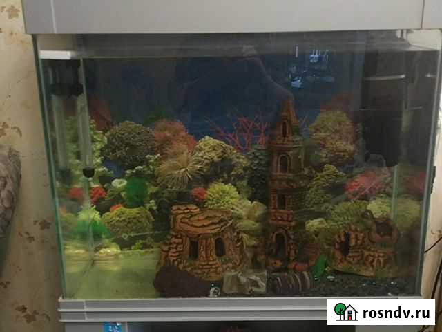 Аквариум-100л Салават - изображение 1