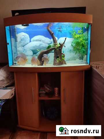 Аквариум Juwel Vision180 Прокопьевск - изображение 1