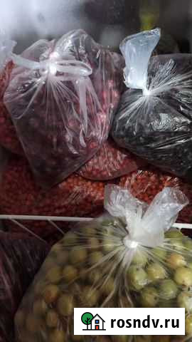 Рябина, клубника Завьялово - изображение 1