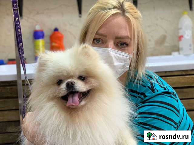 Стрижка собак Москва - изображение 1