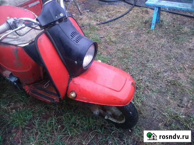 Муравей Казань - изображение 1