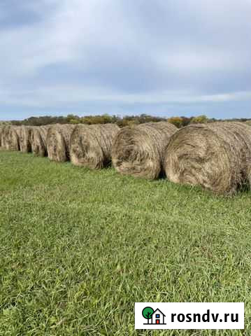 Сено Екатеринославка - изображение 1