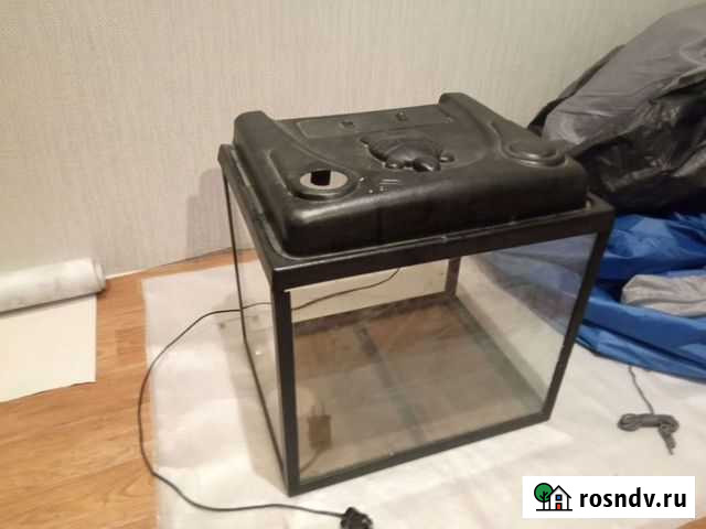 Аквариумистика Тверь - изображение 1