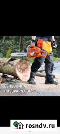 Спил деревьев Яблоновский - изображение 1