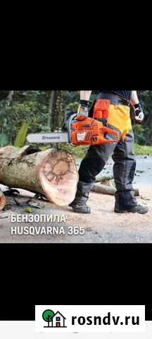 Спил деревьев Яблоновский - изображение 1