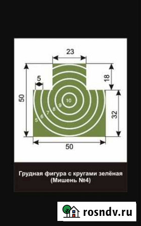 Мишень для стрельбы Каспийск - изображение 1