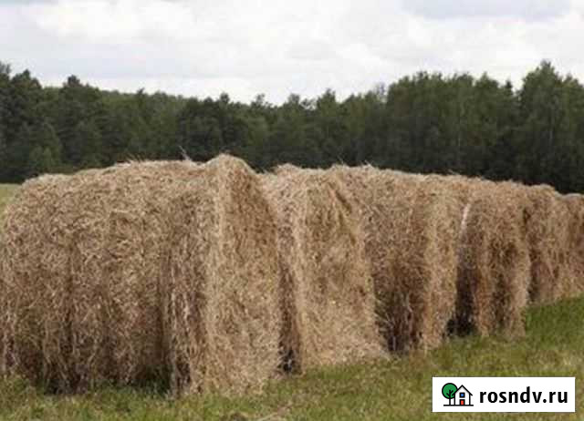 Сено, разнотравие Бельтирское - изображение 1