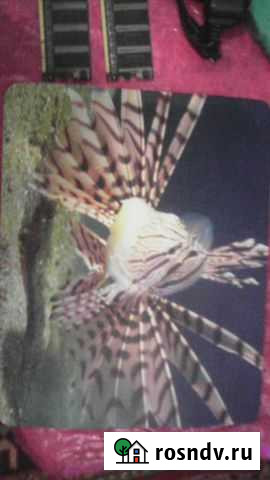 Продам коврик Иваново - изображение 1