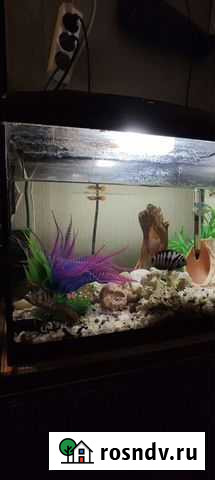 Украшение для аквариума Коммунарка - изображение 1